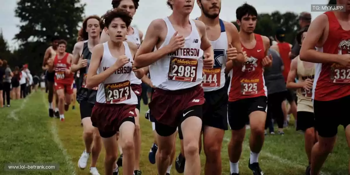 随时随地，直击赛场！📱🎯